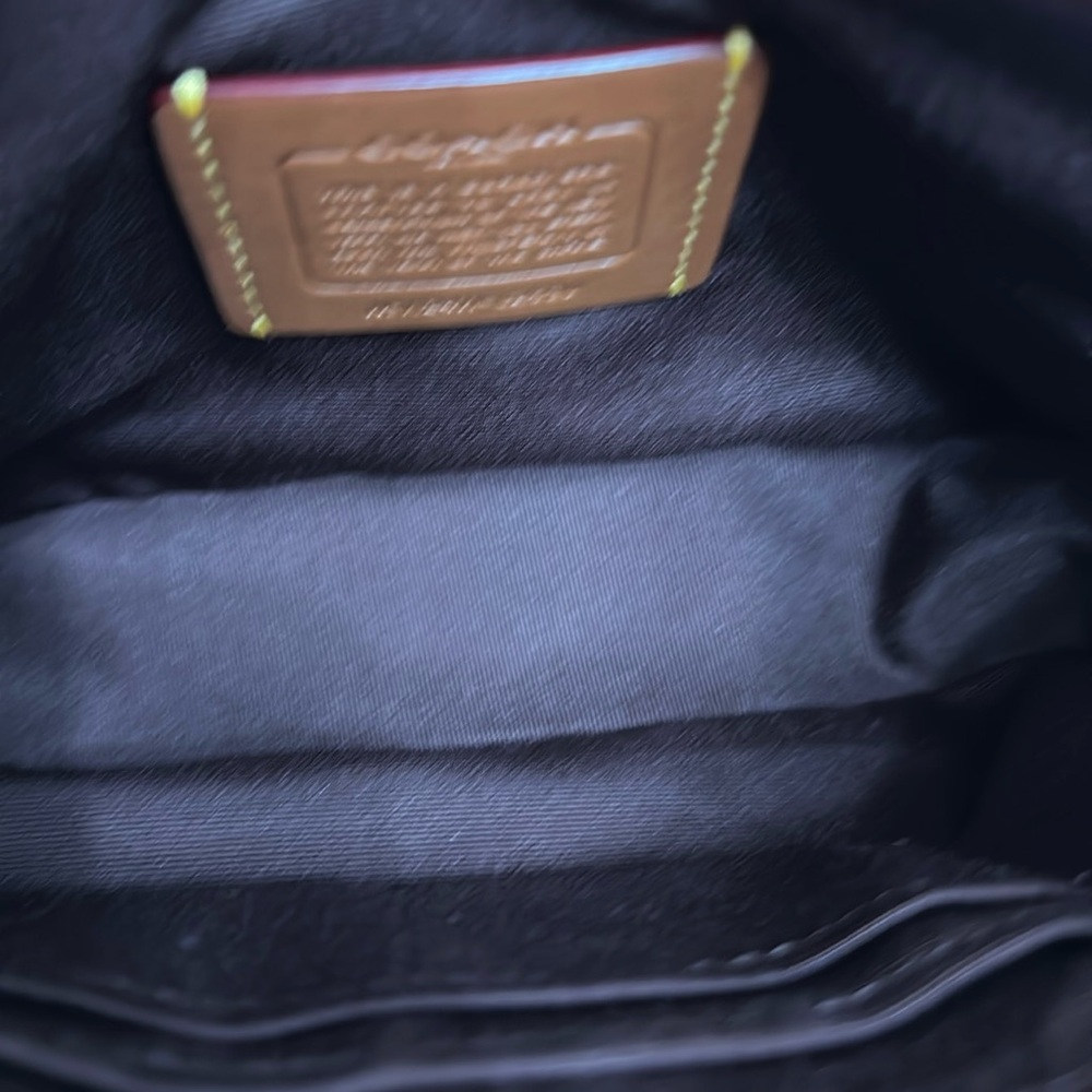 Brand New Coach “Year of the Snake” Nolita 19 - Picture 9 of 11